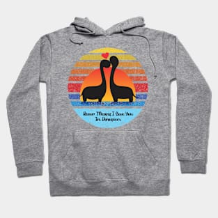 Rawr Means I Love You In Dinosaur at sunset Hoodie